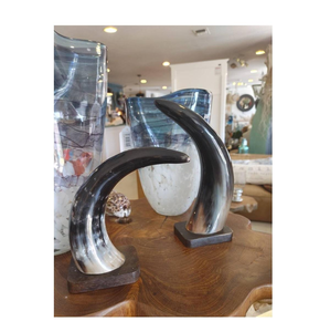 Corne décorative de buffle au design moderne avec support en bois et bordure en laiton, vaisselle élégante, corne décorative pour boire - Product Image 4