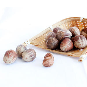 Noix de hêtre brutes / Noix de hêtre biologiques / Noix de hêtre en vente - Product Image 6