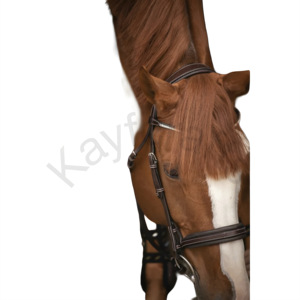 Brida de caballo con banda ancha para nariz francesa de dos tonos, banda para la frente de diamantes de imitación y diseño de Strass diario - Product Image 2