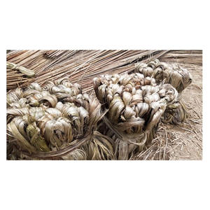 2023 Exportation directe en gros de haute qualité 100% fibre de jute Tossa brute à bas prix directement du Bangladesh - Product Image 6