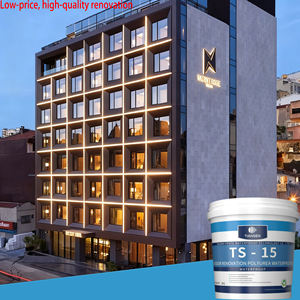 Revestimiento Impermeable <span class=keywords><strong>de</strong></span> Poliurea Invisible Moderno <span class=keywords><strong>de</strong></span> Alta Calidad, Poliéster para Renovación <span class=keywords><strong>de</strong></span> Paredes <span class=keywords><strong>de</strong></span> Hoteles, Sin Necesidad <span class=keywords><strong>de</strong></span> Demoler lo Antiguo - Product Image 1