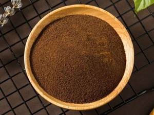 AA Grade Robusta <b>Coffee</b> <b>Beans</b> Dry Processed 18 Screen Vietnam Green <b>Roasted</b> Vilaconic Brand 60kg Jute Packed +84398885178 - Product Image 5