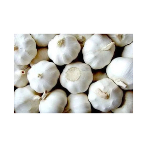 Ail frais à bas prix disponible pour les achats en gros et l'exportation - Product Image 6
