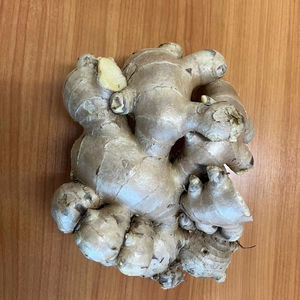 Jengibre Fresco de Alta Calidad de Vietnam para Importadores y Mayoristas que Necesitan Envíos Confiables en Contenedores - Product Image 1