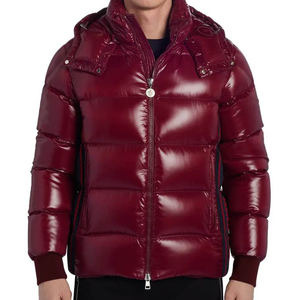 Chaqueta Acolchada de Invierno para Hombre, Estilo Urbano, con Capucha y Cuello Alto, Tejido Personalizado, Cortavientos, en Talla - Product Image 1