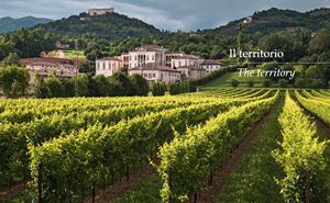 Vino Blanco Italiano Espumoso Asolo Prosecco Superiore DOCG Extra Brut, Botella de 750 ml, Selección GVERDI, Hecho en Italia - Product Image 5