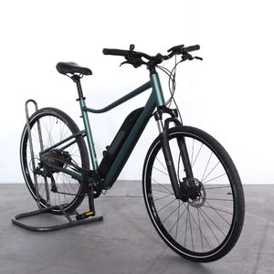 Vélo de randonnée électrique Riverside 500E 2025-2026, haute performance, prêt à l'exportation mondiale - Product Image 6