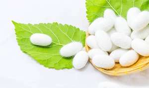 ผลิตภัณฑ์บำรุงผิวจากใยไหมคุณภาพสูง ขัดผิวอย่างเป็นธรรมชาติ - Product Image 2