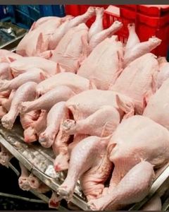 Baquetas de pollo congeladas al por mayor para restaurantes y venta al por menor Suministro a granel disponible - Product Image 1