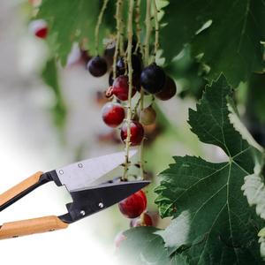 กรรไกรตัดแต่งกิ่งไม้ขนแกะปรับได้ใช้งานหนัก13นิ้วทำจากสแตนเลสออกแบบตามหลักสรีรศาสตร์ - Product Image 4