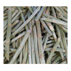 Frozen sugar cane health benefits of sugar cane From 99 Gold Data in Vietnam - Product Image 3