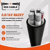 Câble d'alimentation blindé NA2XY AL/XLPE/SWA/PVC, conducteur en aluminium, isolation XLPE, blindage en fil d'acier, gaine en PVC