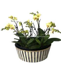 Bone Inlay vase Pot Indoor Outdoor Garden Decor Pots & Planters for Hot Sale Products - Product Image 3