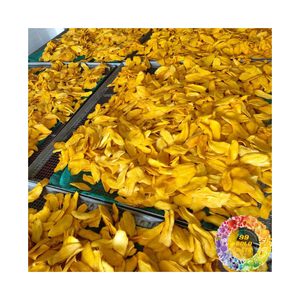 Premium Natural Soft Dried Mango Sweet Chewy Texture Vietnam Dry Mango Snack Precio de fábrica para negocios de importación - Product Image 2