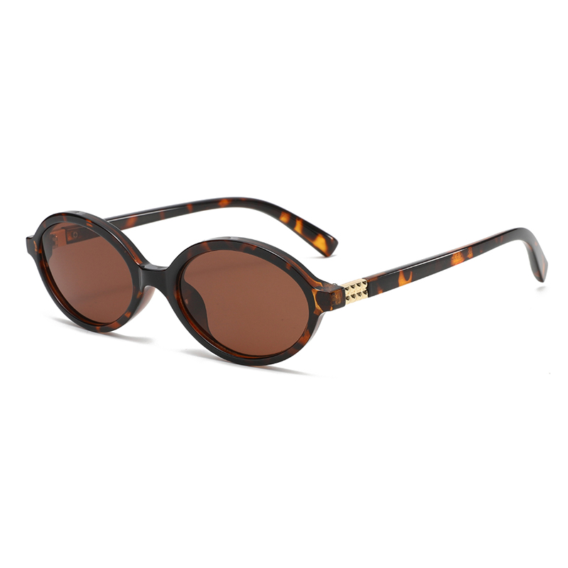 C4: Tortoise/ Brown