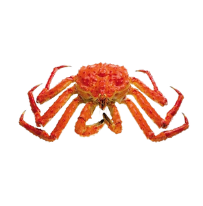 Meilleur prix pour un crabe royal géant entier |   Produits de la mer surgelés |   Crabe royal disponible à la vente - Product Image 1