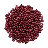 Haricots rouges de qualité supérieure en gros, forme allongée, rouge foncé, marque BVBA TOYA TRADING, paquet de 20 kg