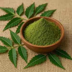 Polvo de Neem para Tónico Facial y Astringente, DIY Natural, Reduce los Poros y Limpia la Piel, Agua Herbal Orgánica, Ayurveda - Product Image 2