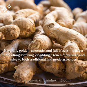 Raíz de jengibre fresco Premium de Vietnam, calidad de exportación a granel para exportación - Product Image 6
