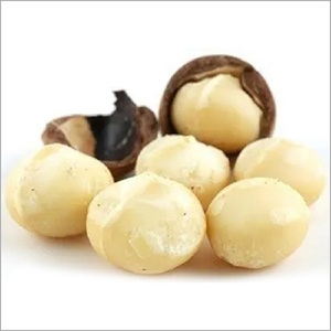 ถั่วแมคคาเดเมียดิบ/ถั่วแมคคาเดเมียเค็มคั่วขายส่งจำนวนมาก - Product Image 5