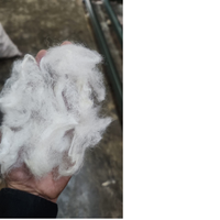 Premium Washed Goat Combed Merino Wool Fiber-Ultra-Soft High-Luster Roving for Luxury Spinning and Art Textiles