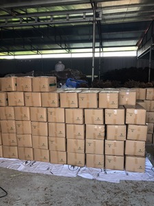 Canela de Cassia Vietnamita de Primera Calidad en Rodajas, Especias Individuales Más Vendidas, Hierbas Secas Procesadas con AD, Sabor Picante Intenso, Cruda - Product Image 5