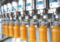 Industriële Elektrische Schroefsap Extractor/Vruchtensap Productielijn/Citroenappel Passievrucht Mango Verwerkingslijn