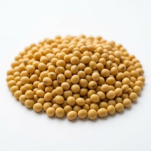 Soja Seca Sin OMG con Alto Contenido de Proteínas, Suministro a Granel - Soja Amarilla para Alimentos y Piensos - Product Image 1