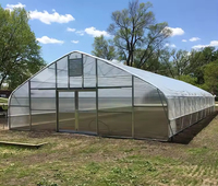 10x30m Légumes Tomate Tunnel Gothique Serre Polycarbonate Galvanisé cadre en acier Film Personnalisé Serre Agricole Kit