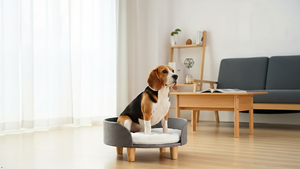 Lit surélevé de luxe confortable pour chien, rafraîchissant pour l'été, avec rebords amovibles, mousse respirante, design dessin animé, lit en bois pour animaux de compagnie - Product Image 3