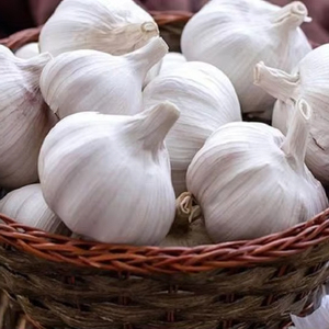 Ajo de Vietnam, nueva temporada, ajo blanco fresco, venta al por mayor, precio competitivo de grado Normal - Product Image 1