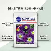 เมล็ดพันธุ์ดอกแอสเตอร์ไฮบริด SARPAN AST-6 แบบปอมปอม ดอกไม้สดตัดใหม่ - Product Image 2