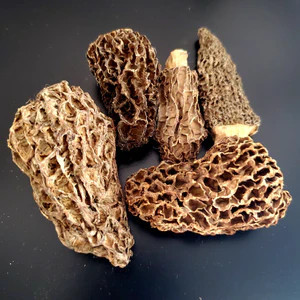 Morrales secos y frescos para cocinar con 100% morchella esculenta, a la venta, con buen precio - Product Image 4