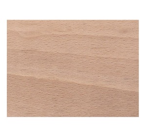 Madera de haya europea en venta a precio económico, ideal para muebles, pisos y proyectos de carpintería. - Product Image 2