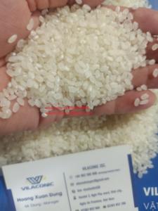 Vietnamese Camolino Japonica Organic White <b>Rice</b> Premium Quality Dried <b>Rice</b> for Health - Product Image 2