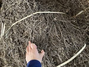 Gelée d'herbe à base de plantes THACH SUONG SAO pour la garniture de thé, congé de gelée d'herbe noire pour le pudding de thé au lait de haute qualité - Product Image 5