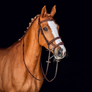 Bride anatomique coupée en gros pas cher prix de qualité supérieure en cuir véritable bride de cheval en gros pas cher prix de qualité supérieure réel - Product Image 1
