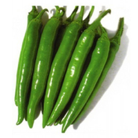 BULK WHOLESALE PRICE GREEN CHILI GREEN CHILLI PEPPER RED CHILLI for CONDIMENTS FROM EXPAD VIETNAM