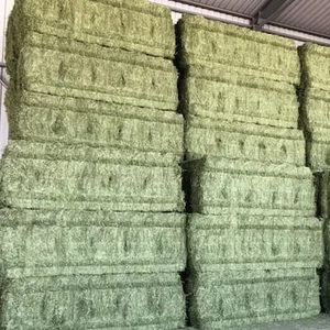 Heno de Alfalfa de Alta Calidad en Pacas para Alimentación Animal, 25 kg, Entrega a Granel, Grado de Calidad, 24 Meses de Vida Útil, 5% de Humedad, Países Bajos - Product Image 5