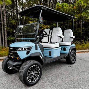 Voiturette de golf électrique de luxe 6 places avec moteur à couple élevé pour les centres de villégiature - Product Image 2