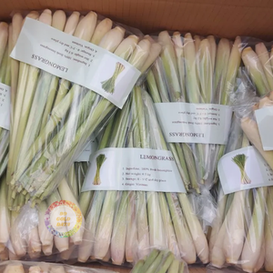 Limoncillo congelado de calidad superior de Vietnam, sin OGM, al mejor precio de servicio, producto superior, Caryln 0084935825297 - Product Image 1