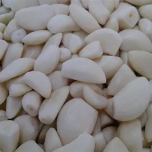 AIL CONGELÉ DE QUALITÉ SUPÉRIEURE 100% NATUREL FABRIQUÉ AU VIETNAM POUR L'EXPORTATION - Product Image 1