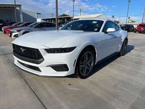 NOUVEAU 2023 pour Mustang Eco Boost Manuel Intérieur Sombre avec Caméra Arrière et Barre de Toit Métallique à Vendre - Product Image 3