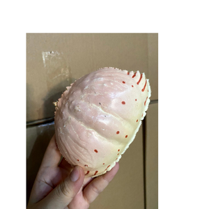 Calidad para Xport de ietnar. - Product Image 6