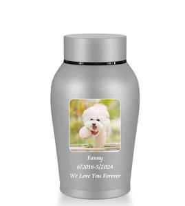 Urnes personnalisées pour cendres humaines Mini urne pour cendres homme femme Photo petites urnes en acier inoxydable commémoratif crémation gris mat - Product Image 1