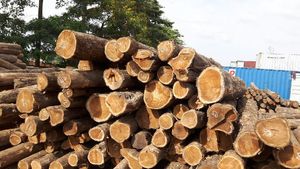 High Quality Wholesale Custom Teak Square Logs Pine and Red Cherry Woods Massive Forest Teak Wood Logs Wholesale Prices - Product Image 6