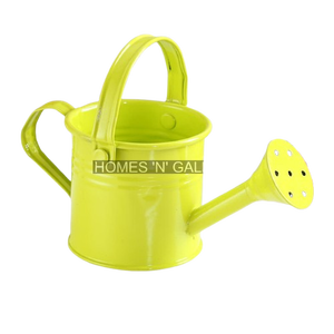 Dernier modèle de décoration d'intérieur Décoration de jardin Arrosoir antique en fer pour jardin intérieur et extérieur - Product Image 1