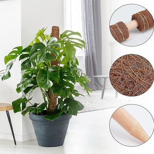 <b>Cover</b> Shipping Fee US Stock 4pcs <b>Plastic</b> Coated Moss Pole Kit Garden Ties Labels Coir Totem Pole Monstera Indoor/Outdoor - Product Image 2