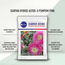 เมล็ดพันธุ์ดอกแอสเตอร์ไฮบริด SARPAN ASTER-AST-5 10 กรัม สีชมพู - Product Image 2