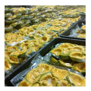 Aguacate congelado de Vietnam, calidad premium para batidos, postres y productos horneados con estándares internacionales de exportación - Product Image 5
